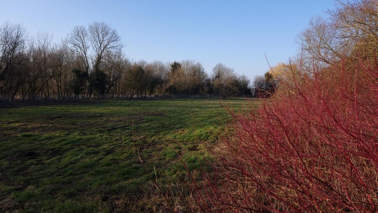 West Farm Cottage Godmanchester Экстерьер фото
